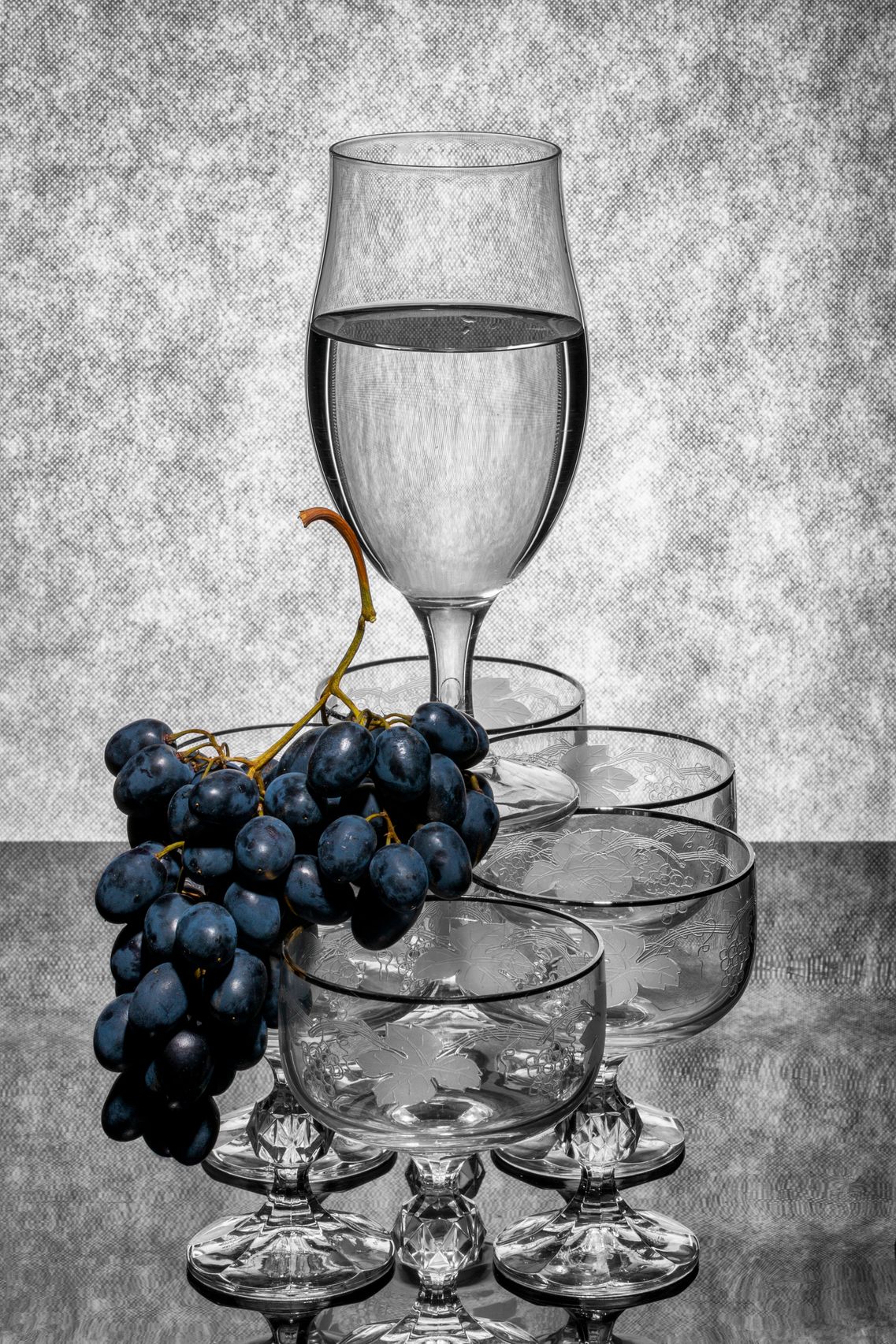sketch of wine glass with grape vines