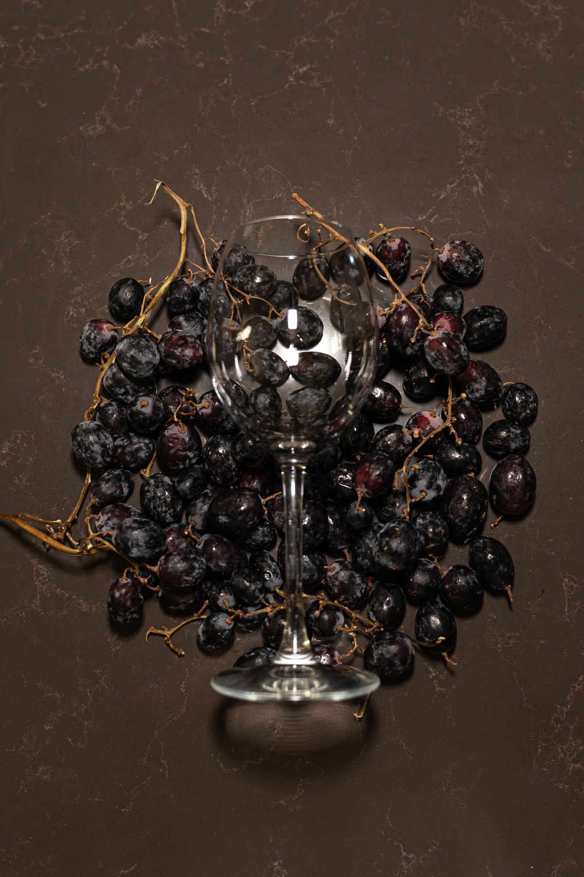Line art wine glass and vines