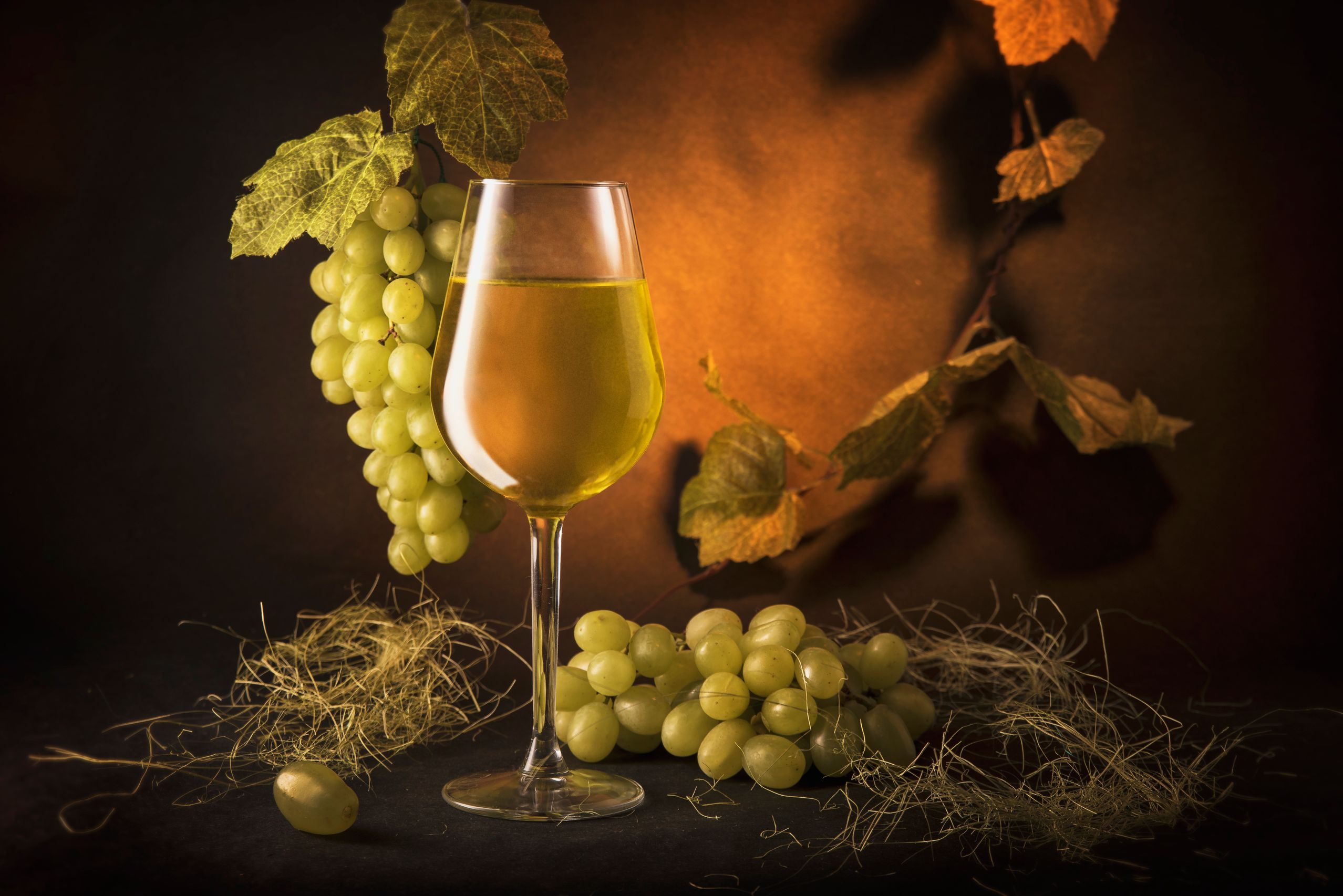 Wine glass illustration
