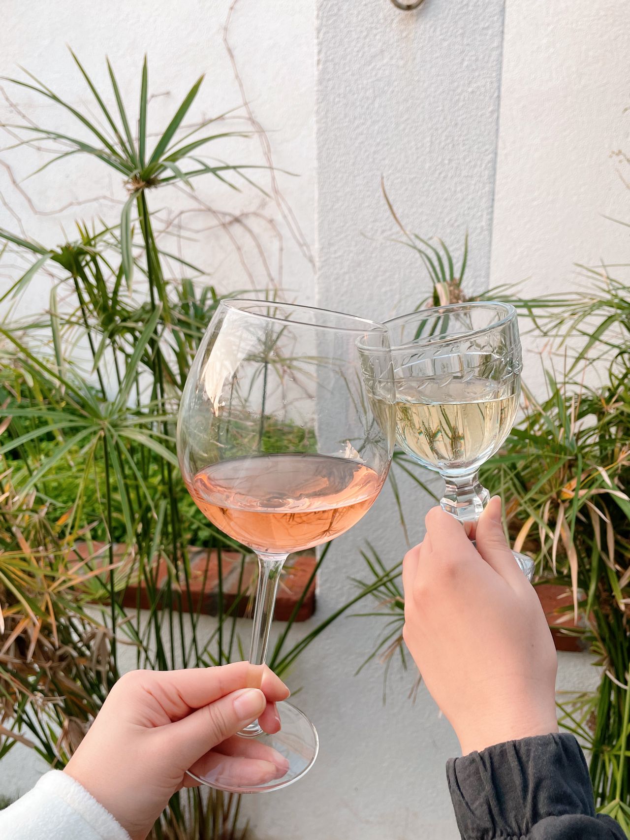 Wine glass with vines